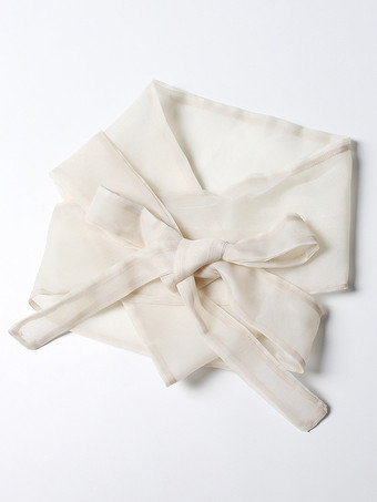 刺繍入りオーガンザブラウス パフスリーブトップス レディース - アプリコット ボヘミアン風タイウエスト シアーラップシャツ - サマーガーデンパーティー 2026