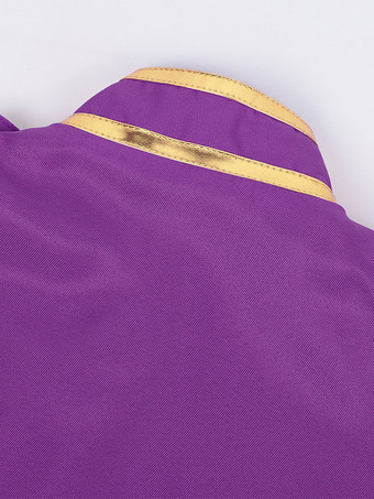 パープル メンズ レトロ スチームパンク コート ハイカラー 刺繍入り フロントジップ 長袖 ヴィンテージ コート