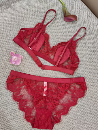 透け感のあるレースの赤いブラジャーとショーツのツーピースセット