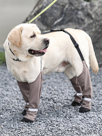 Leggings per cani antifango protezioni regolabili per le zampe degli animali domestici con cinturino ideali per passeggiate all'aperto su terreni sporchi.
