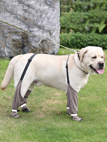 Leggings per cani antifango protezioni regolabili per le zampe degli animali domestici con cinturino ideali per passeggiate all'aperto su terreni sporchi.