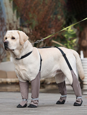 Leggings per cani antifango protezioni regolabili per le zampe degli animali domestici con cinturino ideali per passeggiate all'aperto su terreni sporchi.