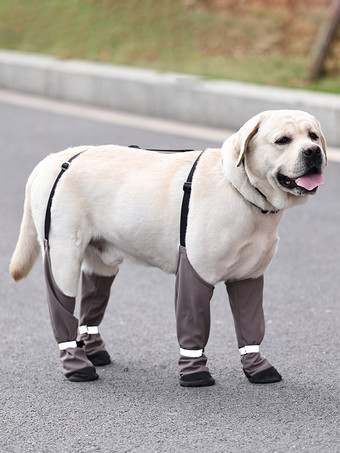 Cachi Leggings per cani antifango protezioni regolabili per le zampe degli animali domestici con cinturino ideali per passeggiate all'aperto su terreni sporchi.
