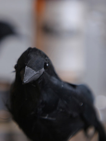 ハロウィン用フェイクフェザーのカラスフィギュア、黒いカラスの卓上装飾、写真撮影用小道具