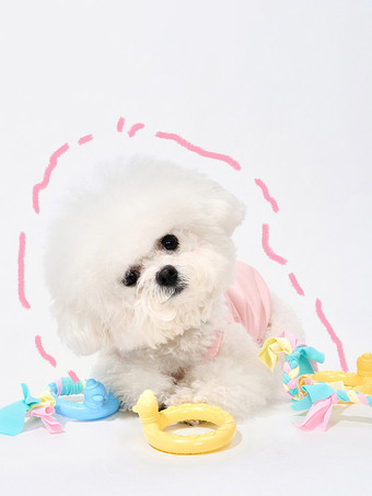 マカロン型TPRロープ結び犬用噛むおもちゃ、小型犬・中型犬用インタラクティブな綱引き歯固めおもちゃ