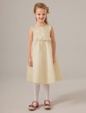 Color champañaVestido para las damitas de tul con escote redondo y adorno arrugado