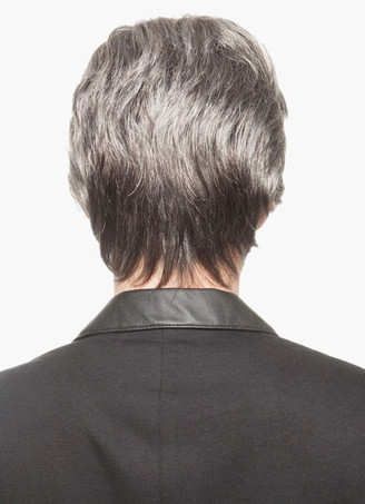 ウィッグ　男性用　大人用　グレー　フルウィッグ　耐熱ファイバー　レイヤード　コンテンポラリー・ファッション　仕事　