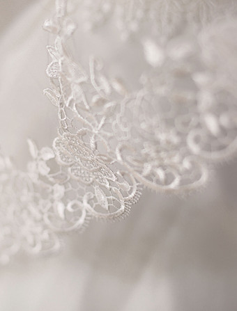 1層　ウェディングベール　シック　アップリケ　セミシアー　レース　ブライダルベール　(300cmの長さ)
