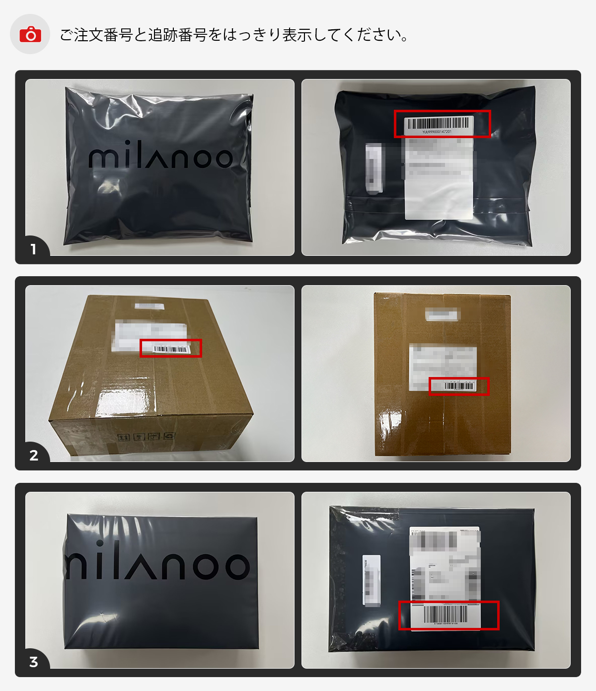 1763518547891.jpg 1200-jp.jpg